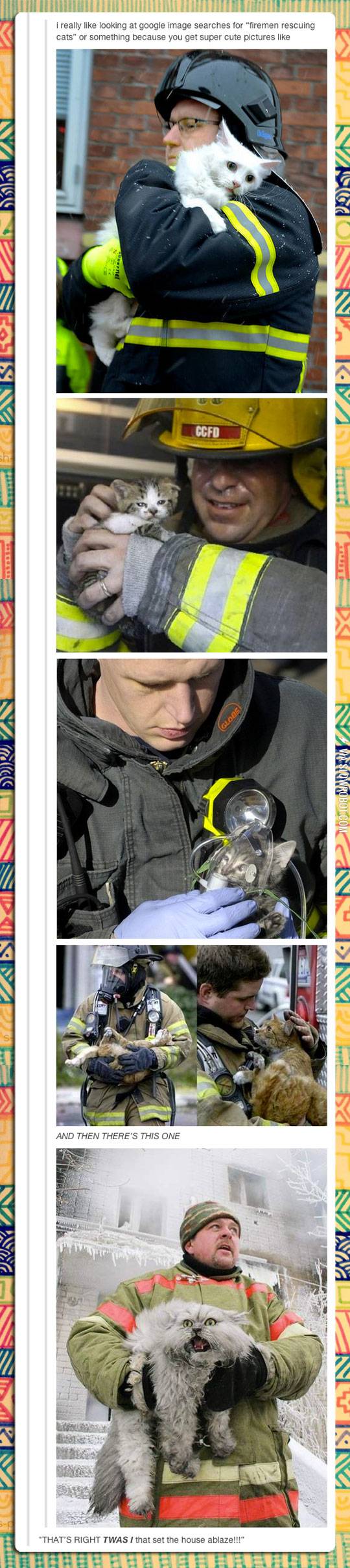 Firemen+rescuing+cats.