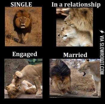 The+stages+of+relationships.