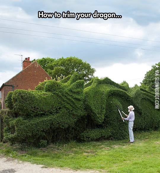 Trim+Your+Dragon