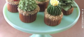 Succulent+cupcakes