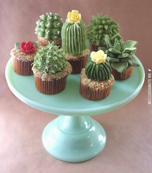 Succulent+cupcakes