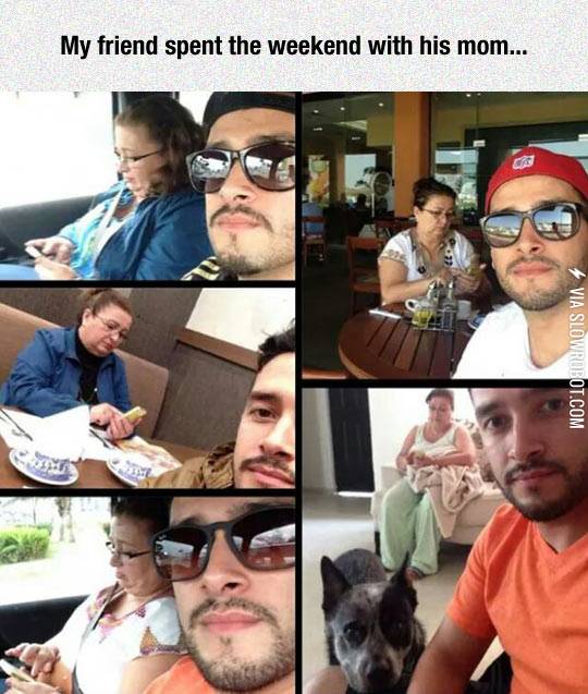 At+Least+The+Dog+Is+Paying+Attention