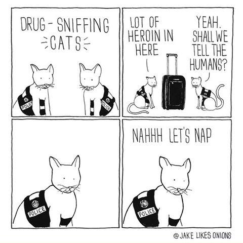 Drug-sniffing+cats