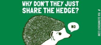 Oh+come+on+hedgehogs