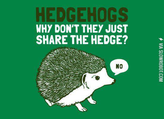 Oh+come+on+hedgehogs