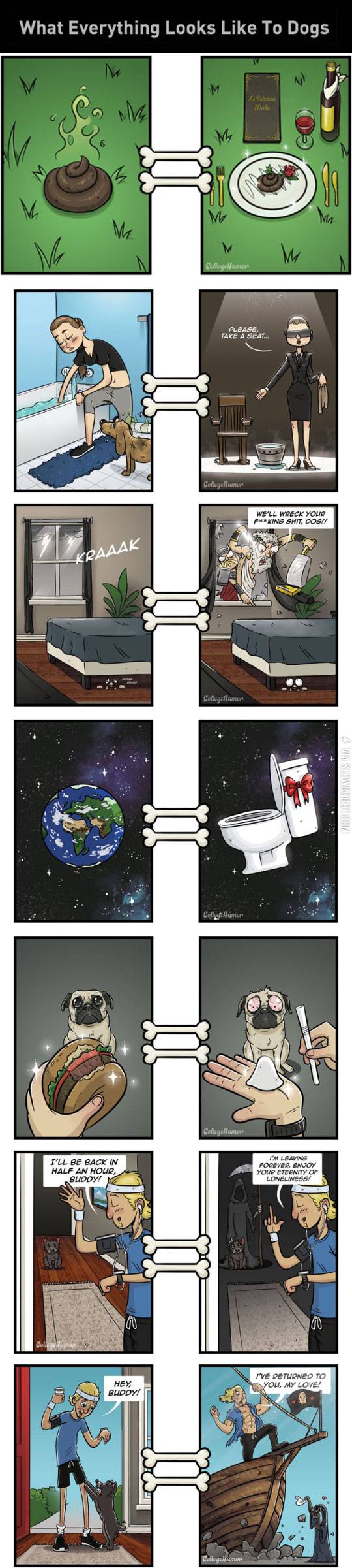 What+everything+looks+like+to+a+dog