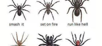 Helpful+Spider+Chart