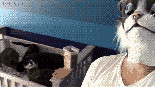 Here%26%238217%3Bs+Johnny%21