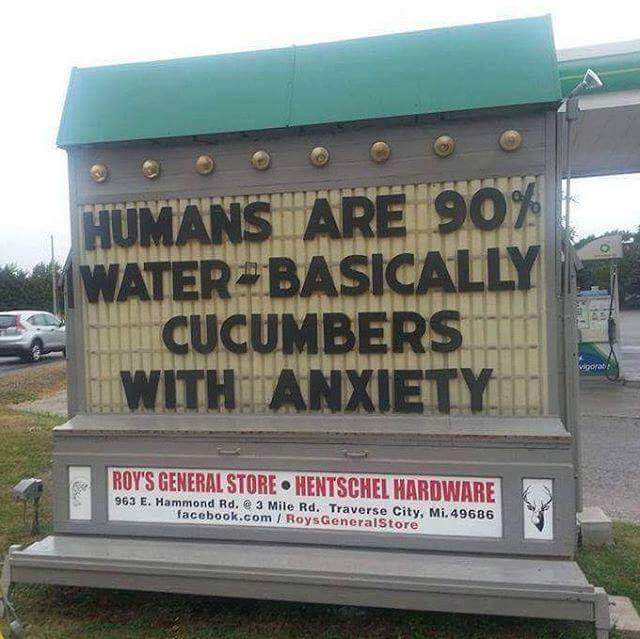 And+then+we+become+pickles