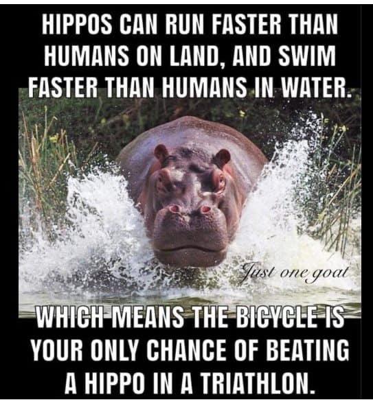 Good+luck+on+your+safari.