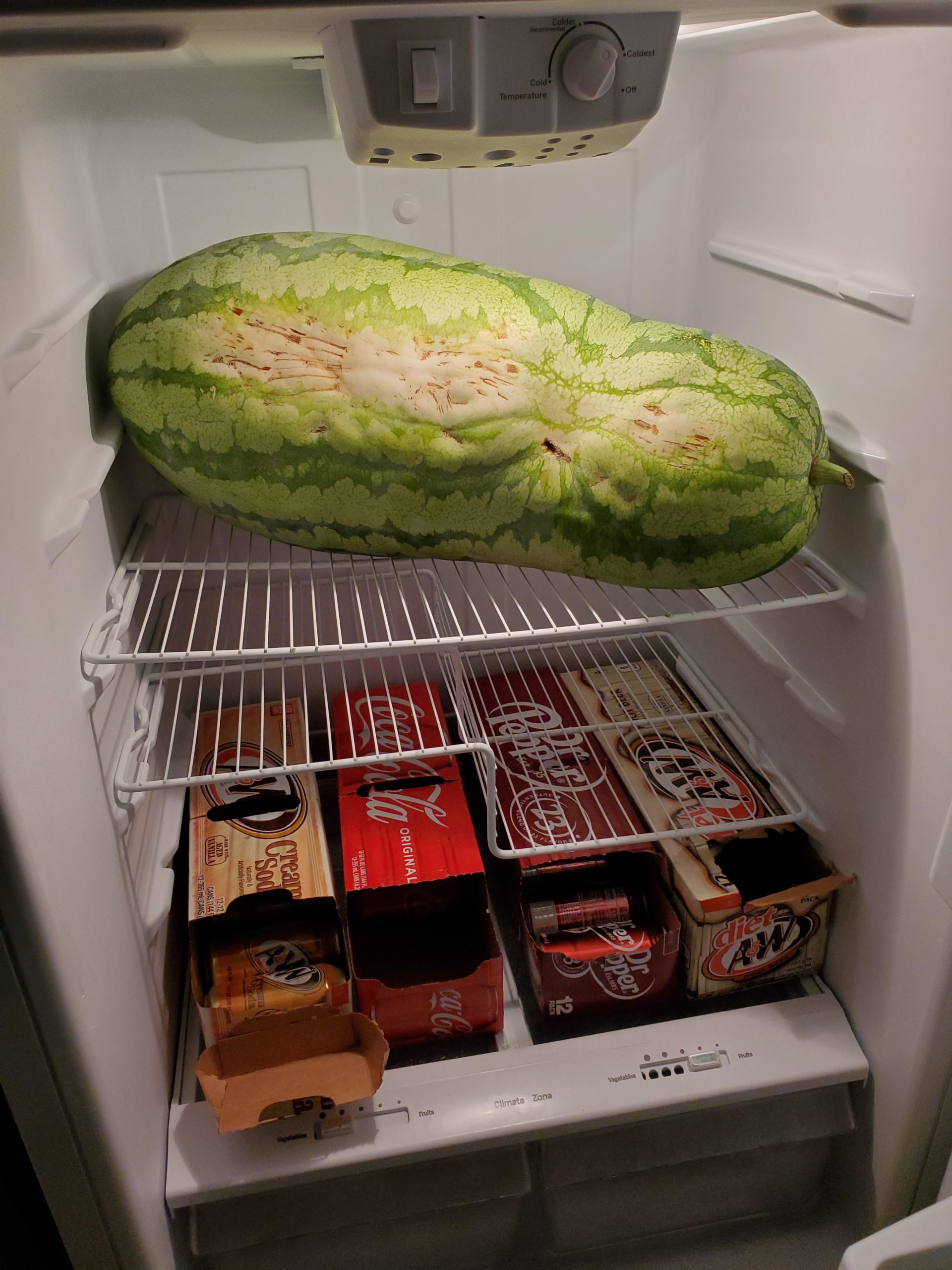 The+obnoxiously+large+watermelon.