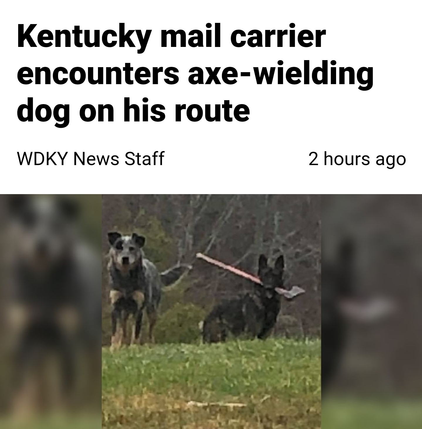 Just+let+the+man+do+his+job.