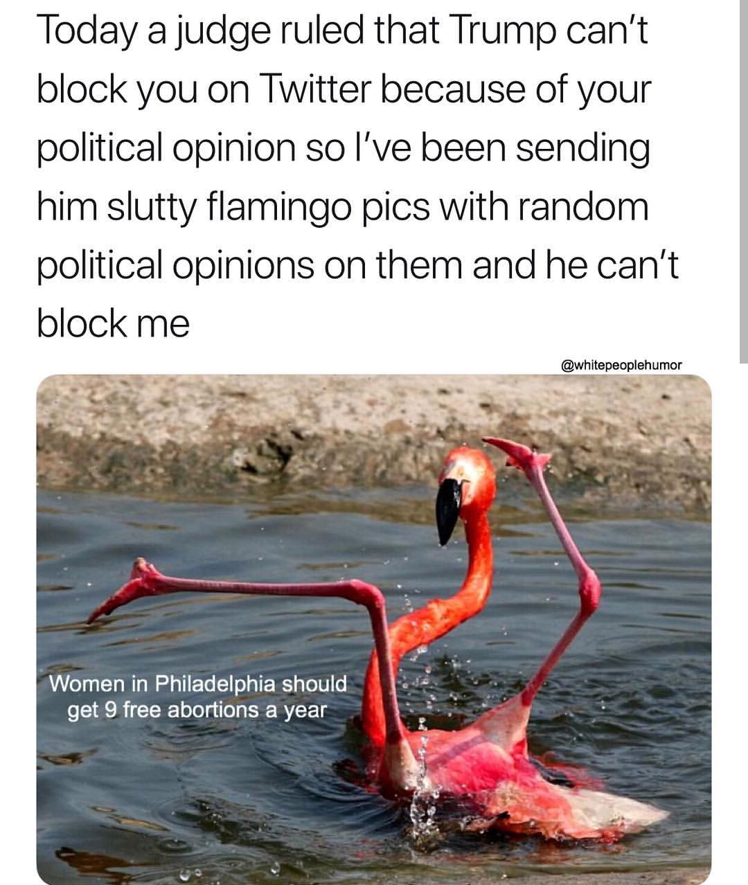 A+glitch+in+the+matrix