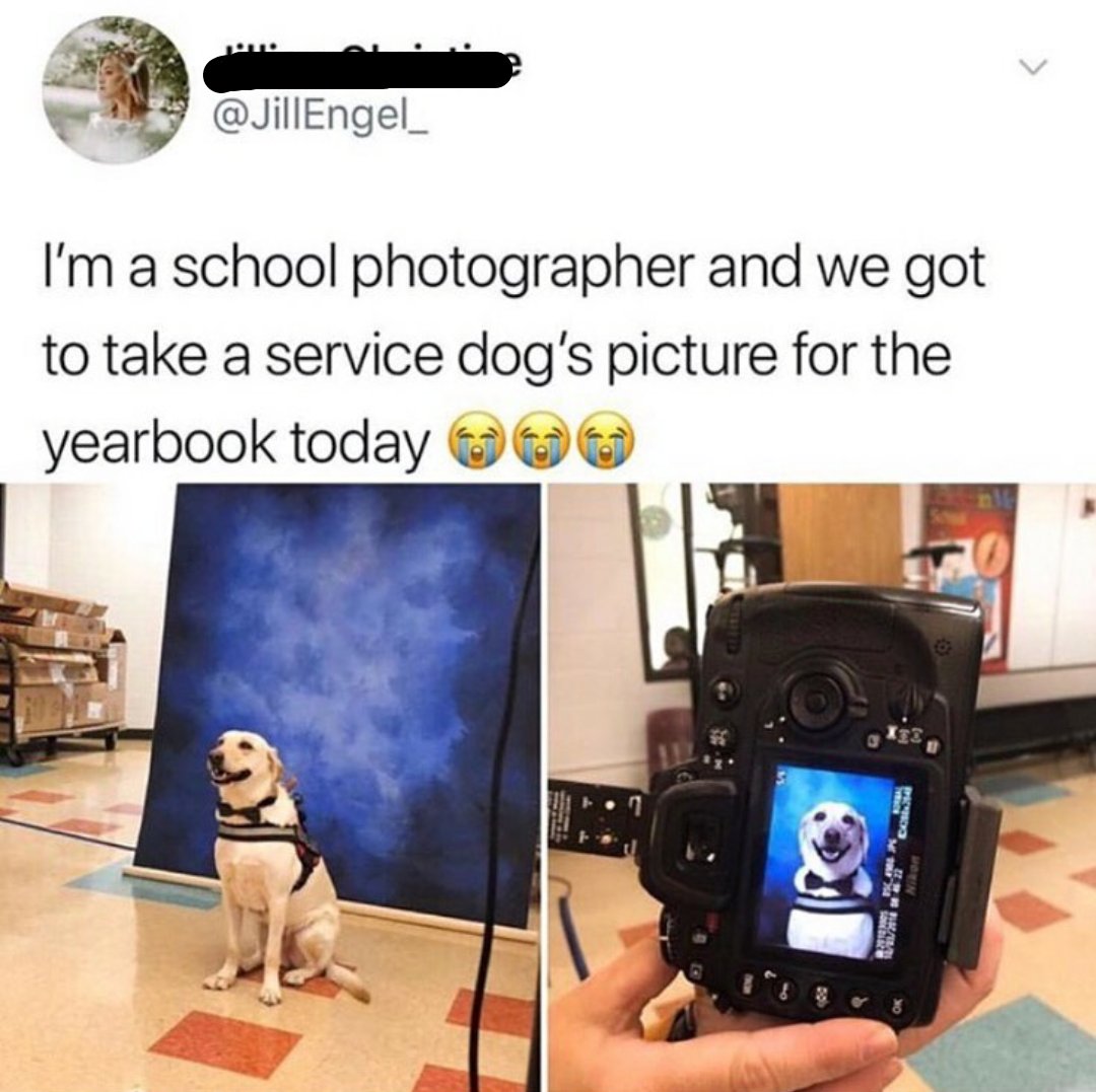 Ultimate+good+boy%26%238230%3B