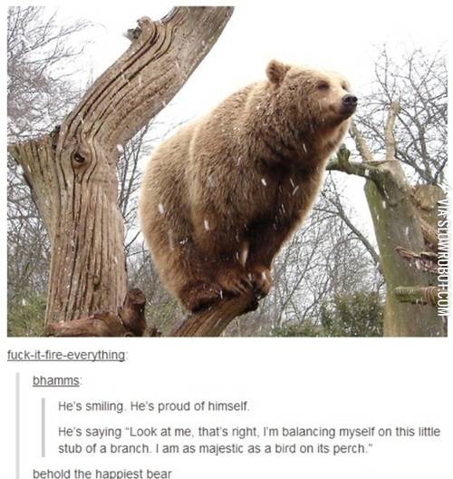 Bear+balancing+on+a+branch