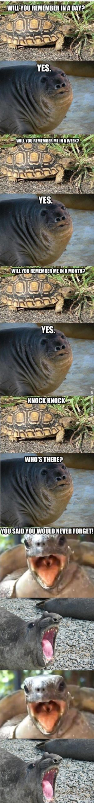 You+said+you%26%238217%3Bd+never+forget%21