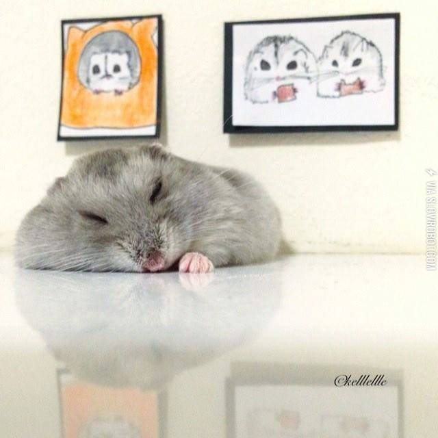 Hamster+Rests+After+Successful+Art+Opening