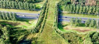 Bridge+for+the+animals+to+cross+the+highway+safely.