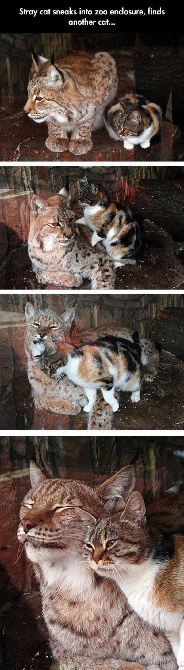 That+last+picture+makes+me+so+happy