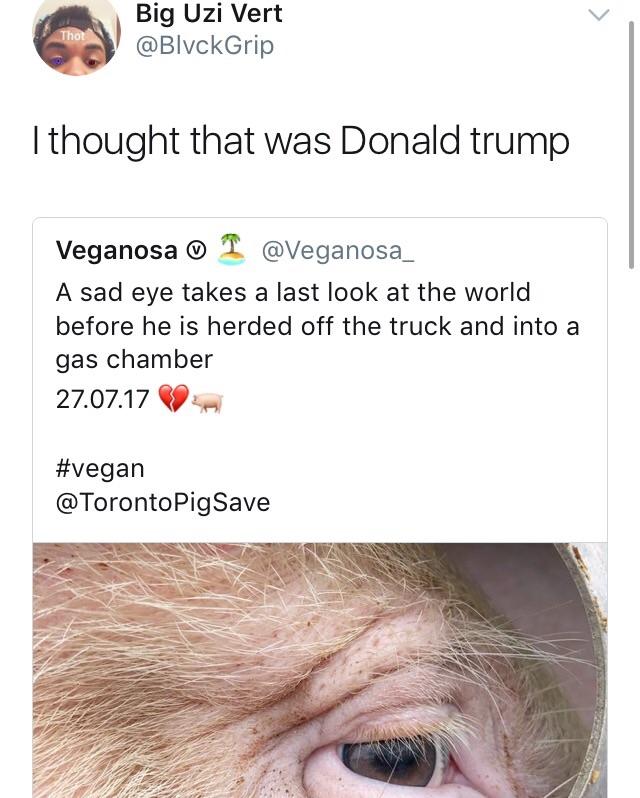 Where%26%238217%3Bs+the+WTW+button+when+you+need+it%26%238230%3B