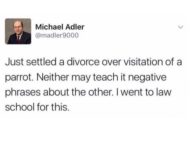 The+long+perch+of+the+law%26%238230%3B