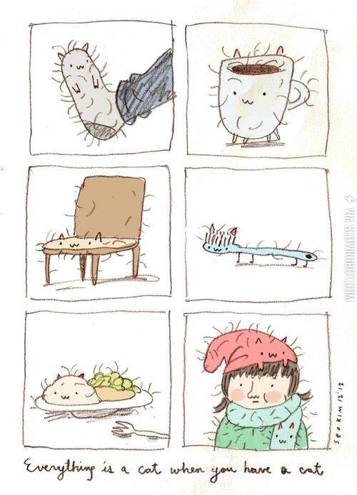 Everything+is+a+cat+when+you+have+a+cat.