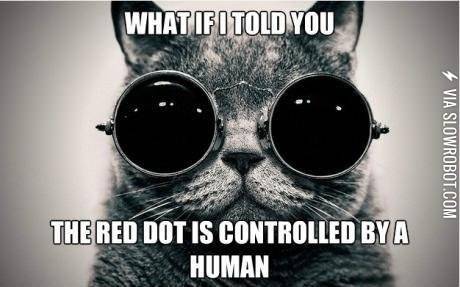 The+red+dot.