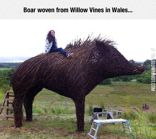 A+boar+woven+from+willow+vines.