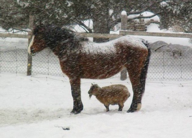 I%26%238217%3Bll+give+ya+shelter+from+the+storm