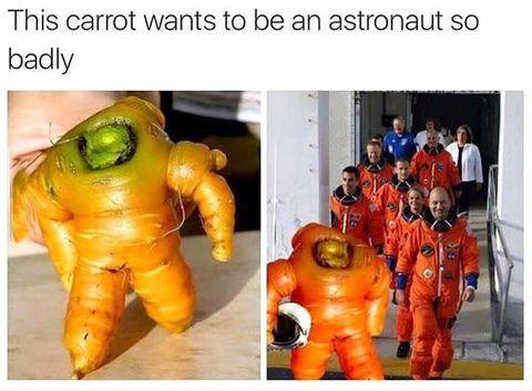 Carrot+armstrong
