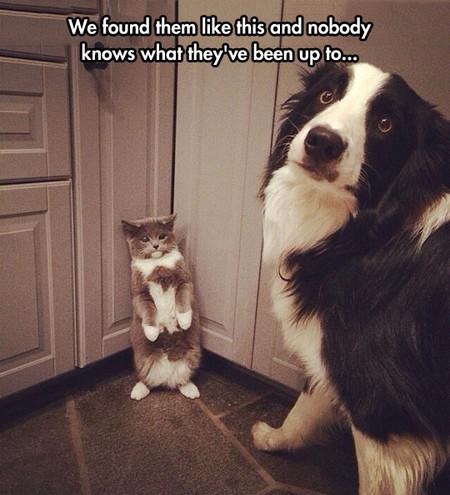 We+Found+Them+Like+This+And+Nobody+Knows+What+Was+Happening%26%238230%3B