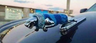 Jaguar+Sweater