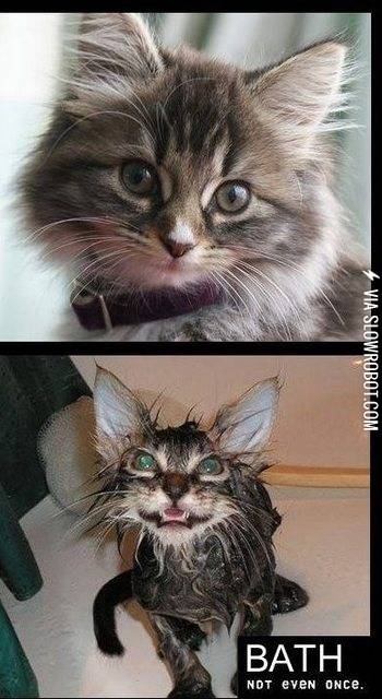 Bath.+Not+even+once.