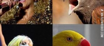 Musicians+as+birds.