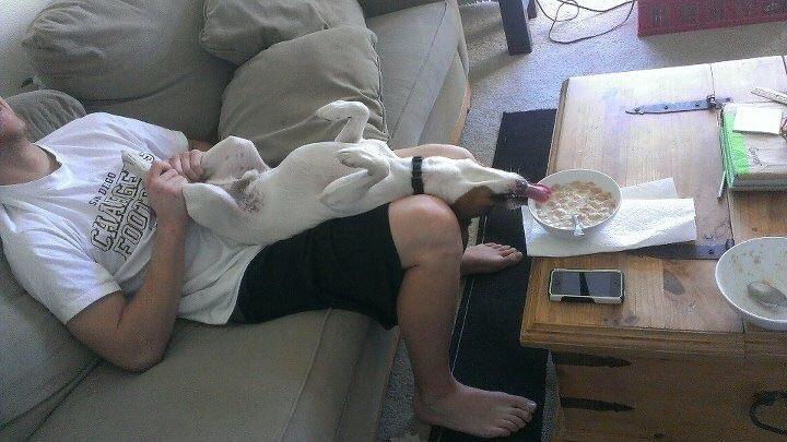 Just%26%238230%3B.+one%26%238230%3B.+teeny%26%238230%3B+lick