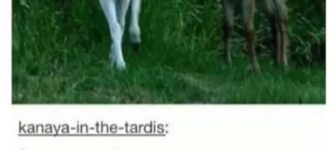 Oh+so+you%26%238217%3Bre+just+gonna+kill+our+mom+and+leave%3F+%26%238211%3B+Angry+Deer%2C+probably.