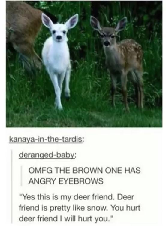 Oh+so+you%26%238217%3Bre+just+gonna+kill+our+mom+and+leave%3F+%26%238211%3B+Angry+Deer%2C+probably.