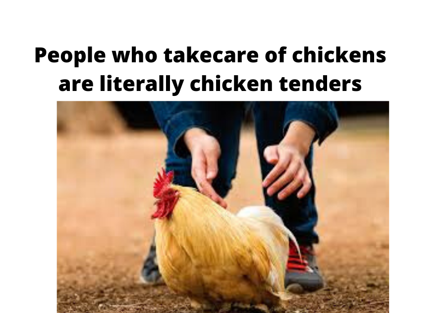Chicken+tendies%21