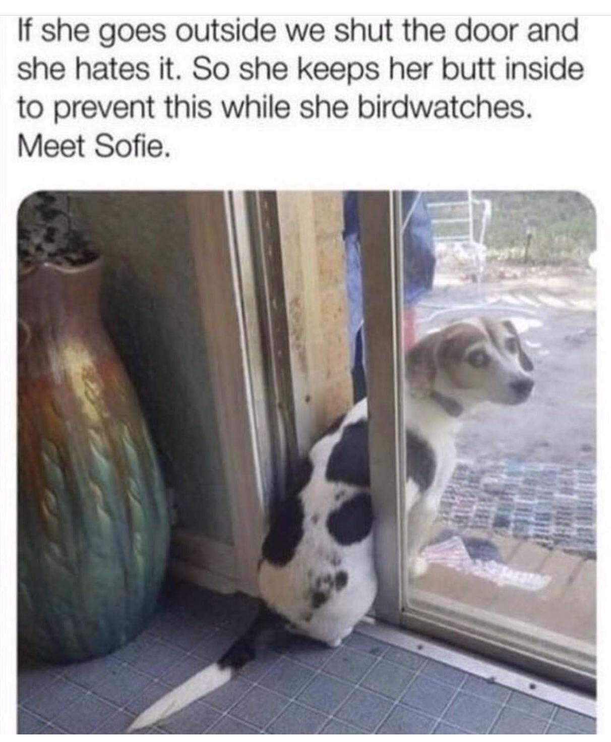 Dun+lock+me+out%2C+k%3F