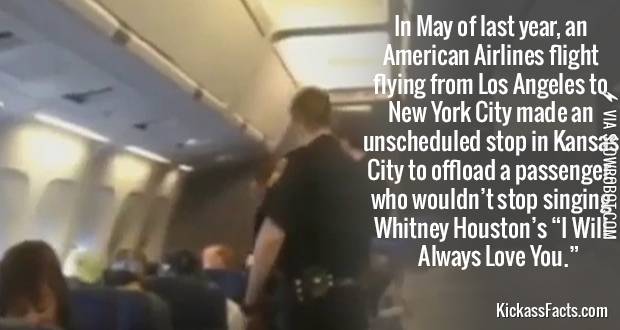 Troll+Level%3A+Professional