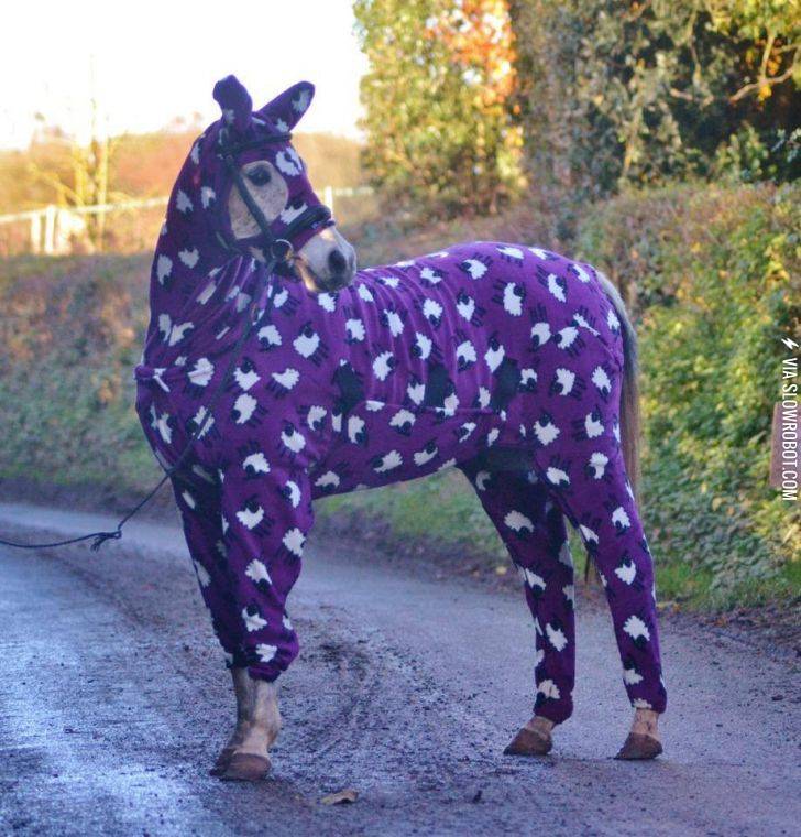 So+today+i+found+out+they+make+horse+onesies