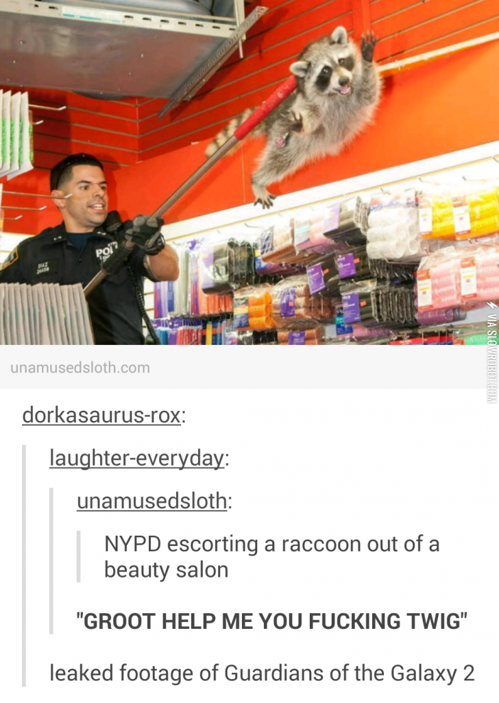 NYPD+escorts+raccoon+out+of+beauty+salon