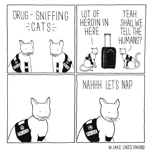drug-sniffing+cats