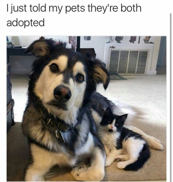 They%26%238217%3Bre+ok+now+though