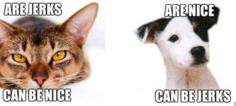The+main+difference+between+cats+and+dogs.