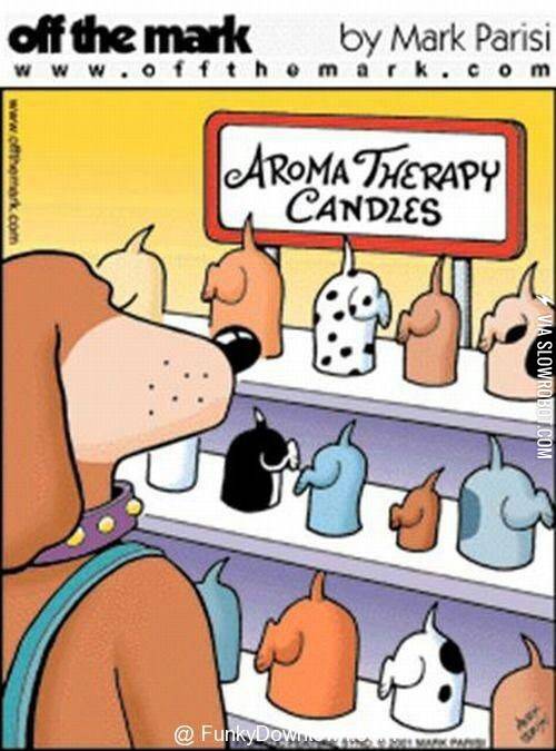 Candles+for+dogs.