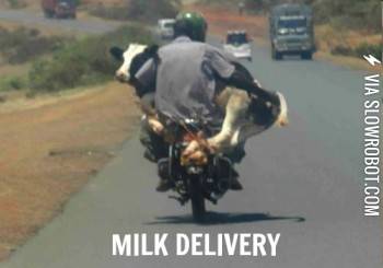 Milk+delivery.