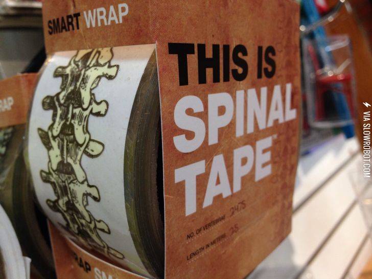 This+Is+Spinal+Tape