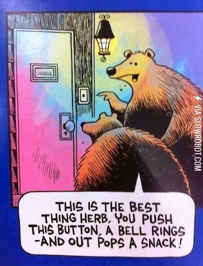 A+bear%26%238217%3Bs+life.