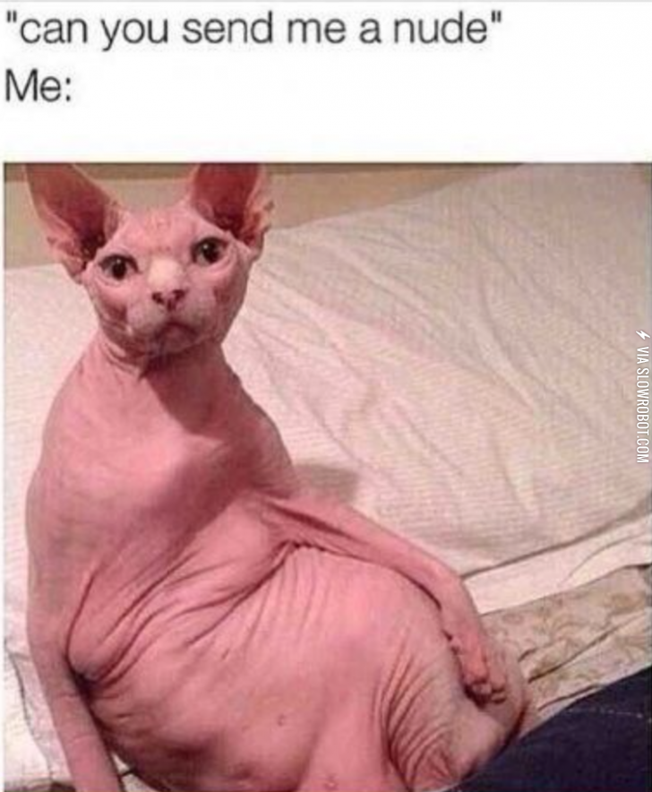 Meow%2C+chicka%2C+meow+meow.